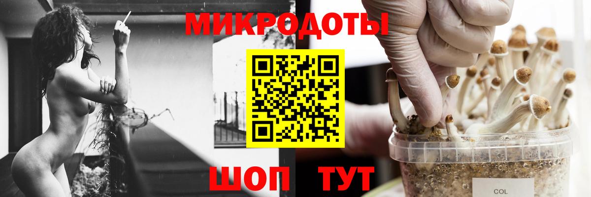 Псилоцибиновые грибы Magic Shrooms  Галлюциногенные грибы GOLDEN TEACHER  Вход с VPN  Петрозаводск 